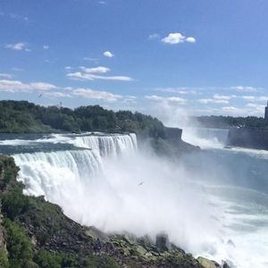 Meet your Posher, Barry